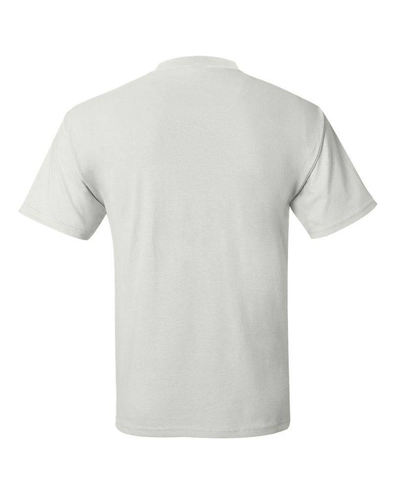 Hanes 5170 - ComfortBlend® EcoSmart® T-Shirt