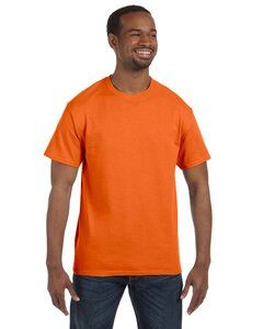 Hanes 5250 - Tagless® T-Shirt