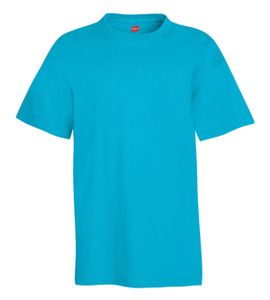 Hanes 5450 - Youth Authentic-T T-Shirt 