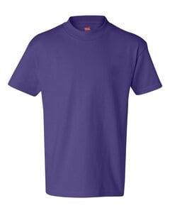 Hanes 5450 - Youth Authentic-T T-Shirt  Purple