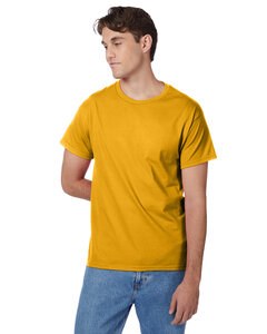 Hanes 5250T - Men's Authentic-T T-Shirt Gold