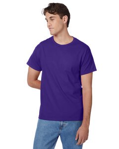 Hanes 5250T - Men's Authentic-T T-Shirt Purple