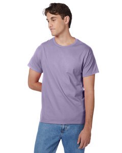 Hanes 5250T - Men's Authentic-T T-Shirt Lavender