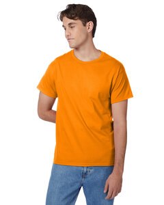 Hanes 5250T - Men's Authentic-T T-Shirt Safety Orange