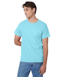 Hanes 5250T - Men's Authentic-T T-Shirt Clean Mint